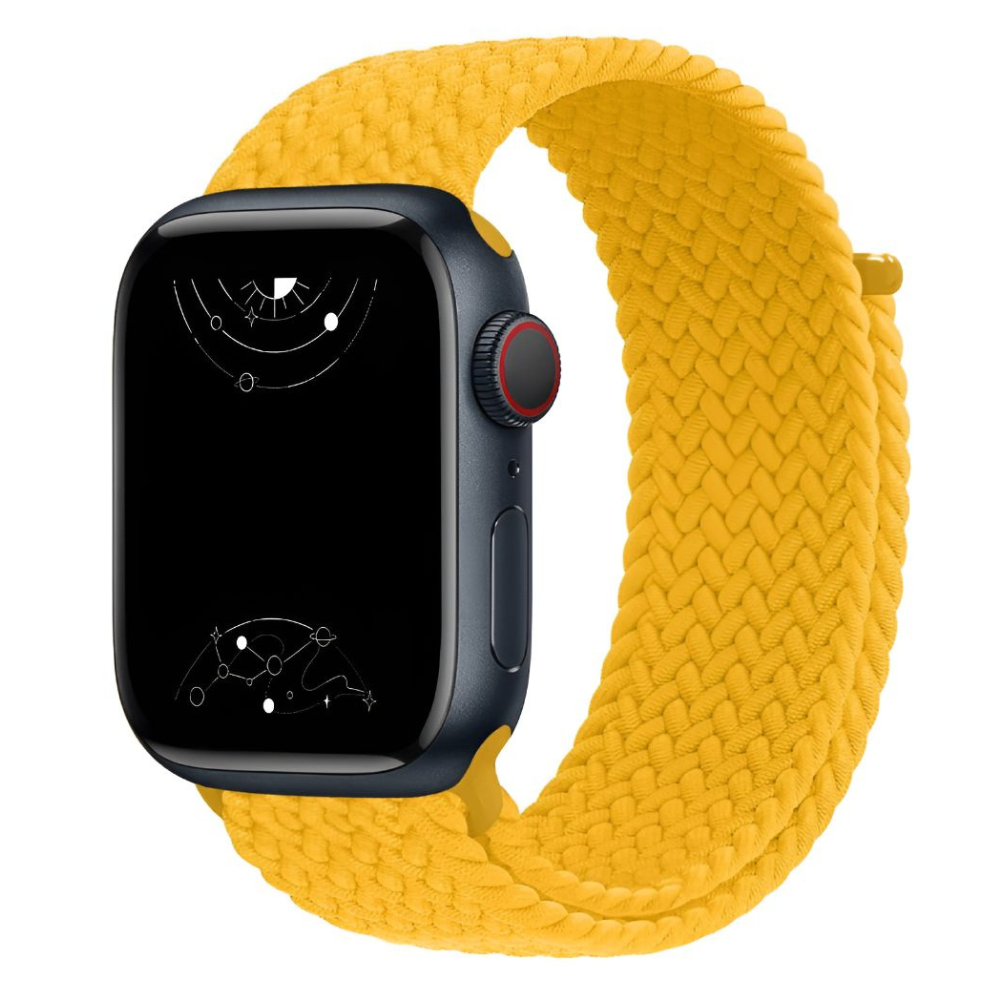 Caterva Elastic Braided Solo Loop Strap