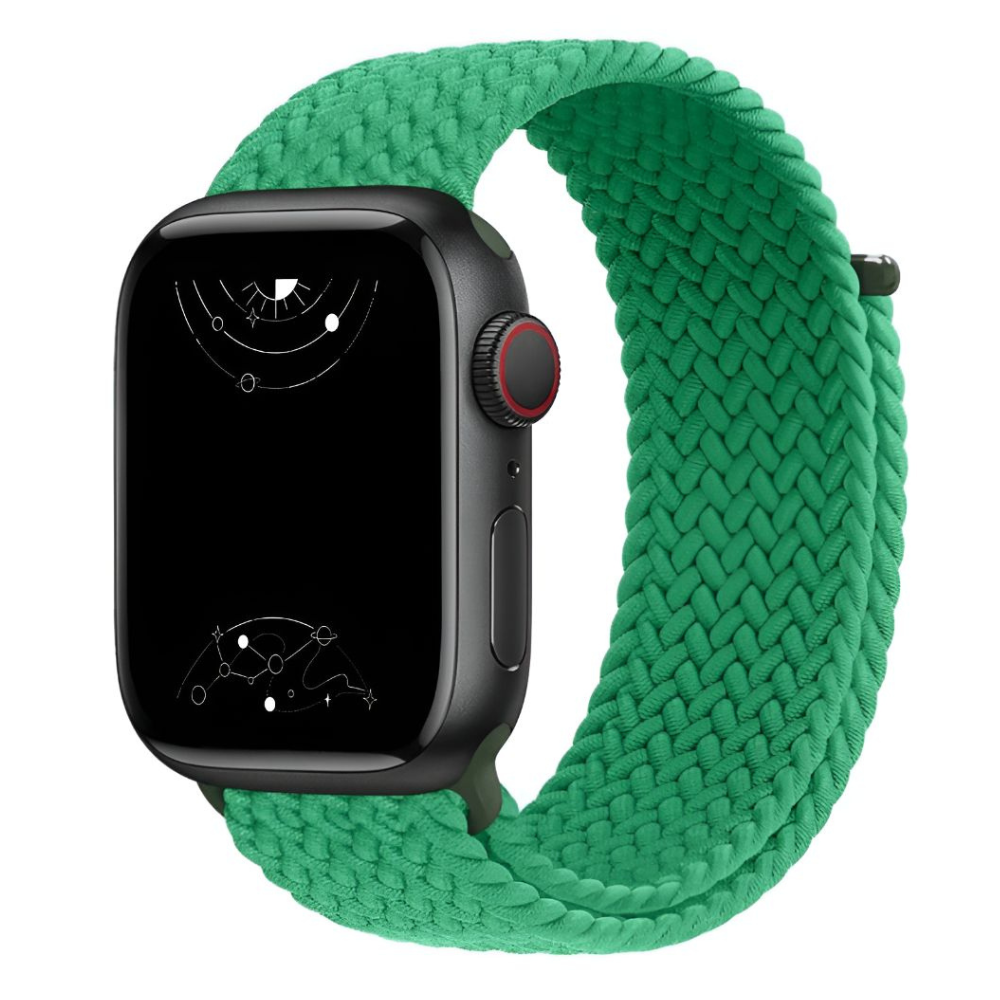 Caterva Elastic Braided Solo Loop Strap